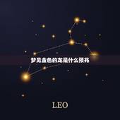 梦见金色的龙是什么预兆，梦见金色的龙是什么征兆？
