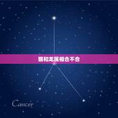 猴和龙属相合不合，属龙的为什么不能娶属猴人