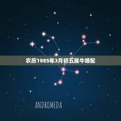 农历1985年3月初五属牛婚配，85年属牛的和什么属相最配