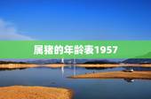 属猪的年龄表1957，猪年是多大年龄