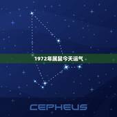 1972年属鼠今天运气，72生肖鼠女今日运势