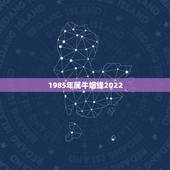 1985年属牛姻缘2022，85年2022年运势及运程