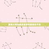 属兔父母和属虎宝宝的属相合不合，兔妈妈虎宝宝合不合