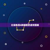 红绿色盲6种婚配的遗传图解，一个表型正常的男性与一个红绿色盲的女性携带