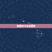 属猴的今年运势的，属猴的人2018年运程好不好？