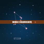 猫咪永久地域网名嫩芽，好听的猫咪名字100个？