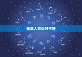 属羊人命运好不好，失群之羊详解