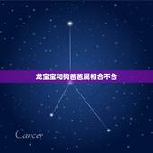 龙宝宝和狗爸爸属相合不合，属龙和属狗的父母生什么属相的子女最好