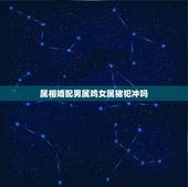 属相婚配男属鸡女属猪犯冲吗，属相合婚，女狗男鸡相冲吗？