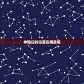 神胎记的位置在哪里呢，看看自己是否是神