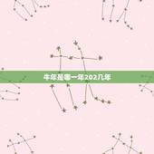 牛年是哪一年202几年，牛的生肖是哪年