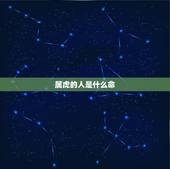 属虎的人是什么命 属虎的人势运如何