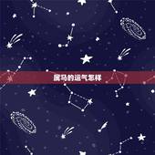 属马的运气怎样，属马2022年运势