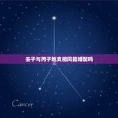 壬子与丙子地支相同能婚配吗，壬子年壬子月丙子日戊子时生人！请求问