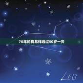 70年的狗怎样逃过50岁一灾，70年属狗52岁有血光之灾