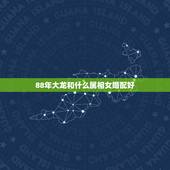 88年大龙和什么属相女婚配好，1988年龙和什么属相合适