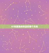 87年属兔的财运在哪个方向，1987年属兔财运方向