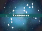 属龙跟属鸡的配不配，00年的龙和05年的鸡