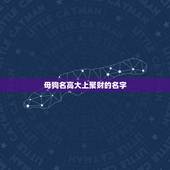 母狗名高大上聚财的名字，给母狗取个发财的名字