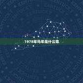 1978年马年是什么命，1978年属马是什么命 1978年属马人兔年运