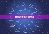 前仆后继是什么生肖，前仆后继 是什么生肖？