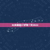 84年属鼠37岁有一灾2022，84年属鼠36岁以后的一生命运