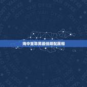 海中金命男最佳婚配属相，84年海中金最佳婚配
