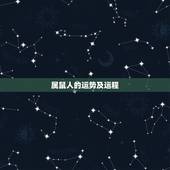 属鼠人的运势及运程，属鼠人一生运势运程