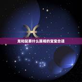 龙和鼠要什么属相的宝宝合适，男属马女属鼠，生什么属相的孩子好