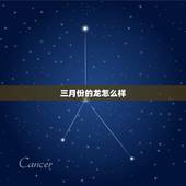 三月份的龙怎么样，龙的便携手持挂烫机