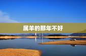 属羊的那年不好，2003属羊人最倒霉的几年