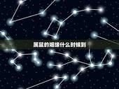 属鼠的姻缘什么时候到，96年属鼠哪年遇到另一半