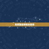 兔男最佳婚配的属相，95年属猪女和87年属兔男婚配合适吗？