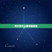 鸡女和什么属相最般配，属鸡女和属什么的最配