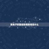 属兔子的最佳配偶属相是什么，属兔的今年最佳配偶属什么