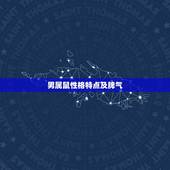 男属鼠性格特点及脾气，1984属鼠人的脾气性格