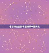 今日特吉生肖小运播报水墨先生，小运播报
