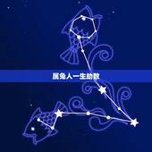 属兔人一生劫数，属兔人的劫数87的女四月