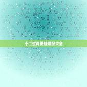 十二生肖更佳婚配大全，十二生肖配对姻缘