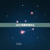 2021年属羊带什么，2021年属羊的幸运色是什么颜色