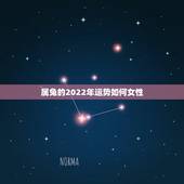 属兔的2022年运势如何女性，1987属兔的十年大运