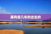 属狗是几年的出生的，属狗的都是几几年的
