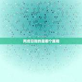 丙戌日指的是哪个属相，丙戌年是哪一年，丙戌年是什么命？