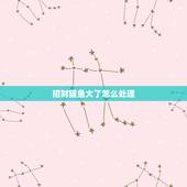 招财猫鱼大了怎么处理，问家养的猫鱼太大了不想养了咋办？