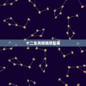 十二生肖婚姻忌配表，十二生肖配对查询