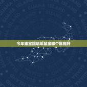 今年猪宝跟明年鼠宝哪个属相好，2023.2月1日属什么？
