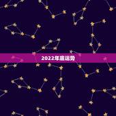 2022年底运势，2022属猪人的全年运势如何