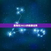 属兔在2022的健康运势，属龙人2022年健康运势