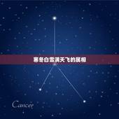 寒冬白雪满天飞的属相，白雪皑皑是什么生肖