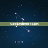 父母蛇兔生鼠和牛哪个属相好，父母属兔生属什么孩子好